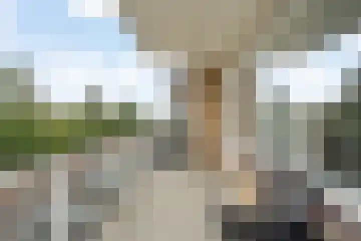 Brederolaan 25 Waddinxveen thumbnail 28