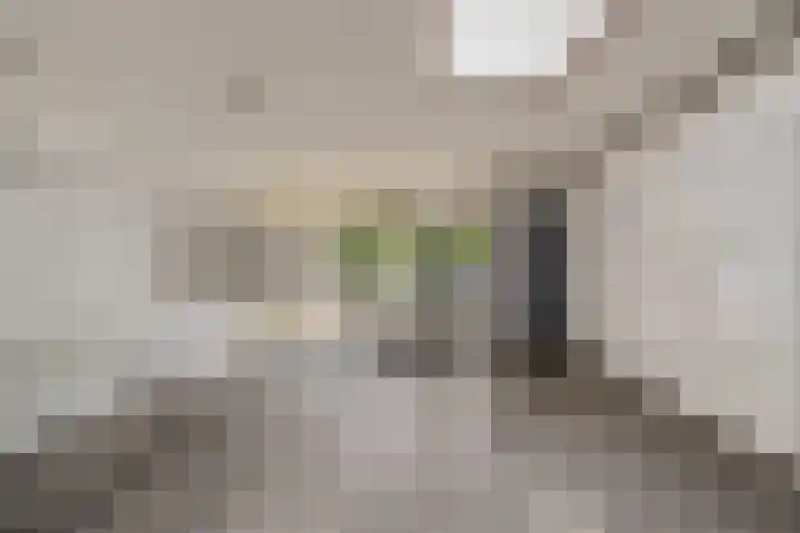 Brederolaan 25 Waddinxveen thumbnail 6
