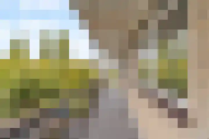 Brederolaan 25 Waddinxveen thumbnail 8