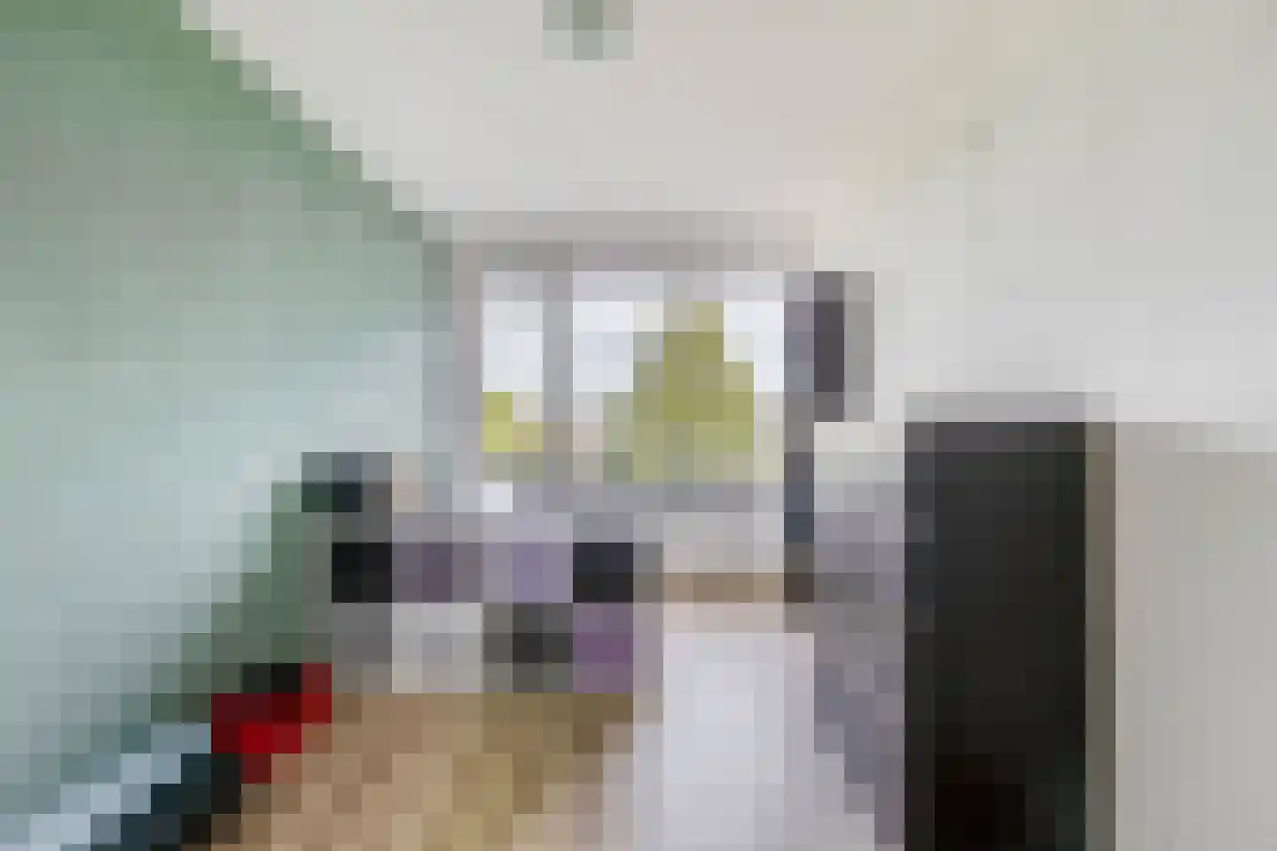 Brederolaan 27 Waddinxveen thumbnail 11