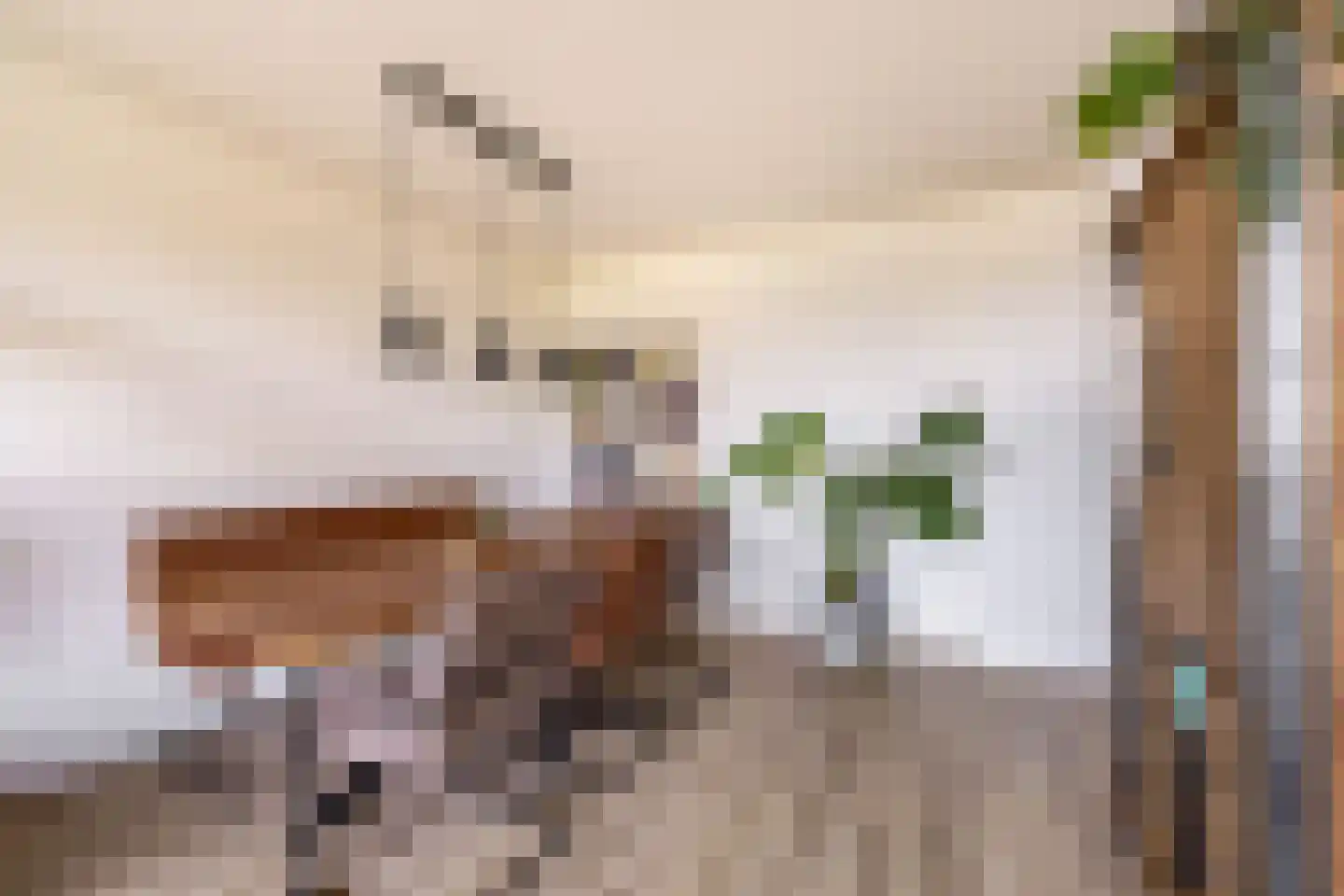 Brederolaan 27 Waddinxveen thumbnail 7