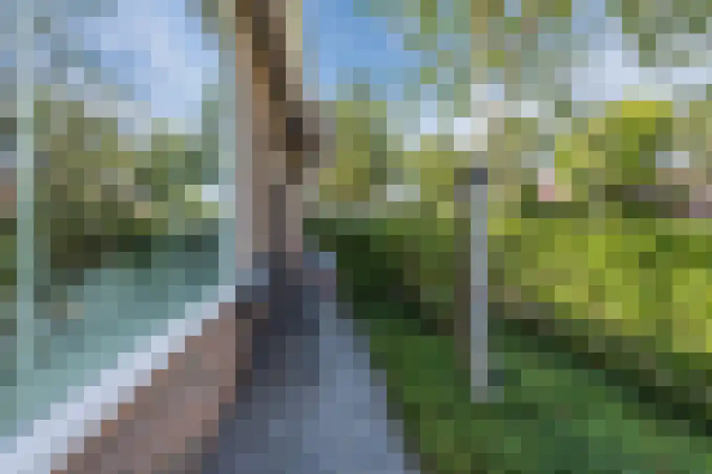 Brederolaan 32 's-Gravenzande thumbnail 10