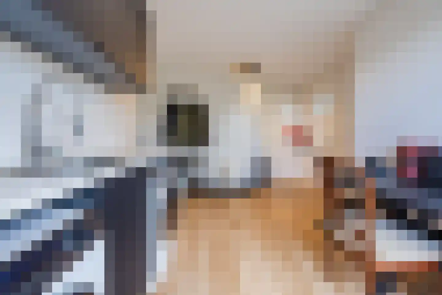 Brederolaan 32 's-Gravenzande thumbnail 30