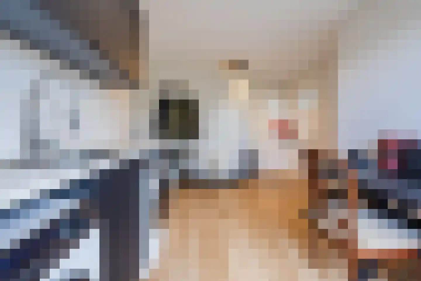 Brederolaan 32 's-Gravenzande thumbnail 30