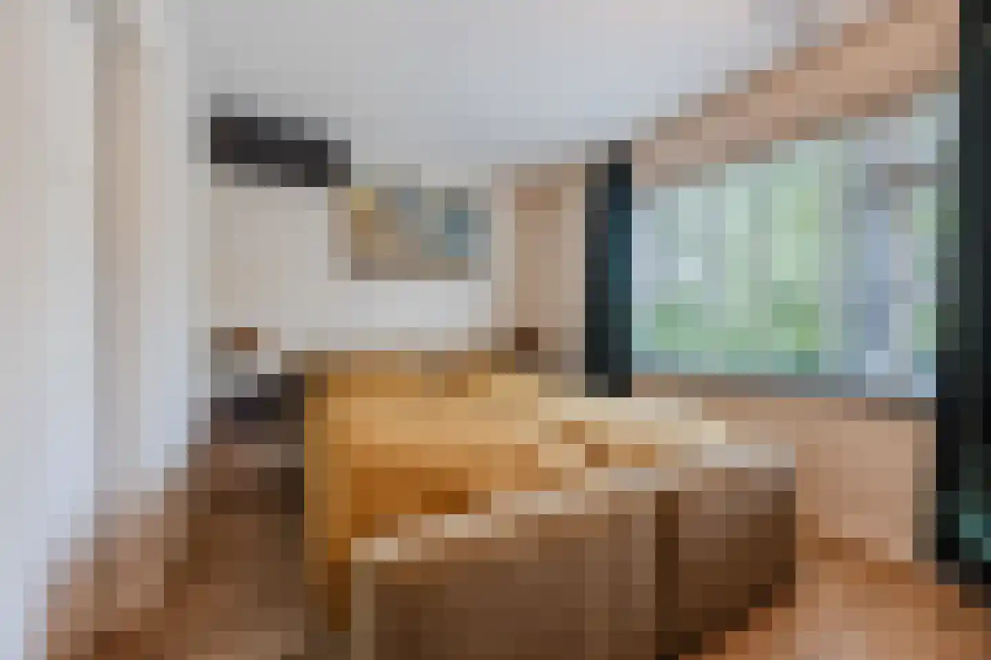 Brederolaan 32 's-Gravenzande thumbnail 32