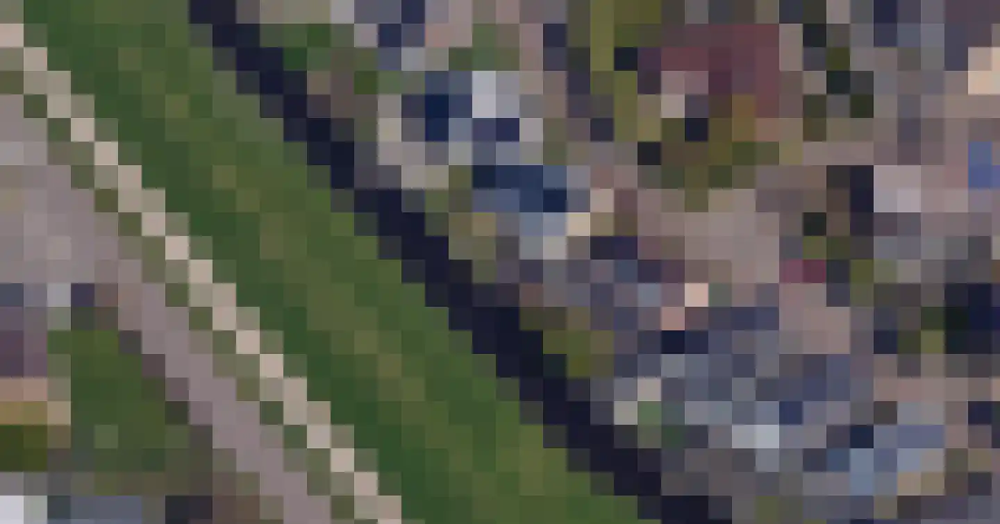 Brederolaan 32 's-Gravenzande thumbnail 4