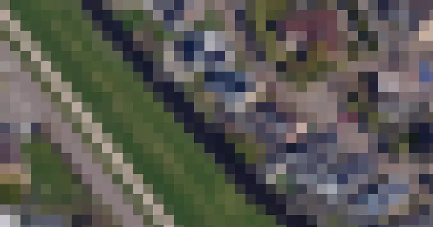 Brederolaan 32 's-Gravenzande thumbnail 4