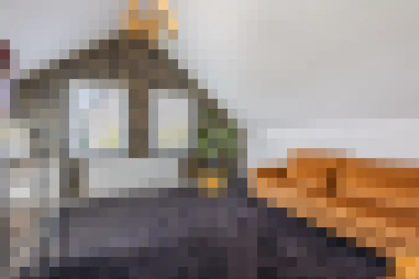 Brederolaan 32 's-Gravenzande thumbnail 40