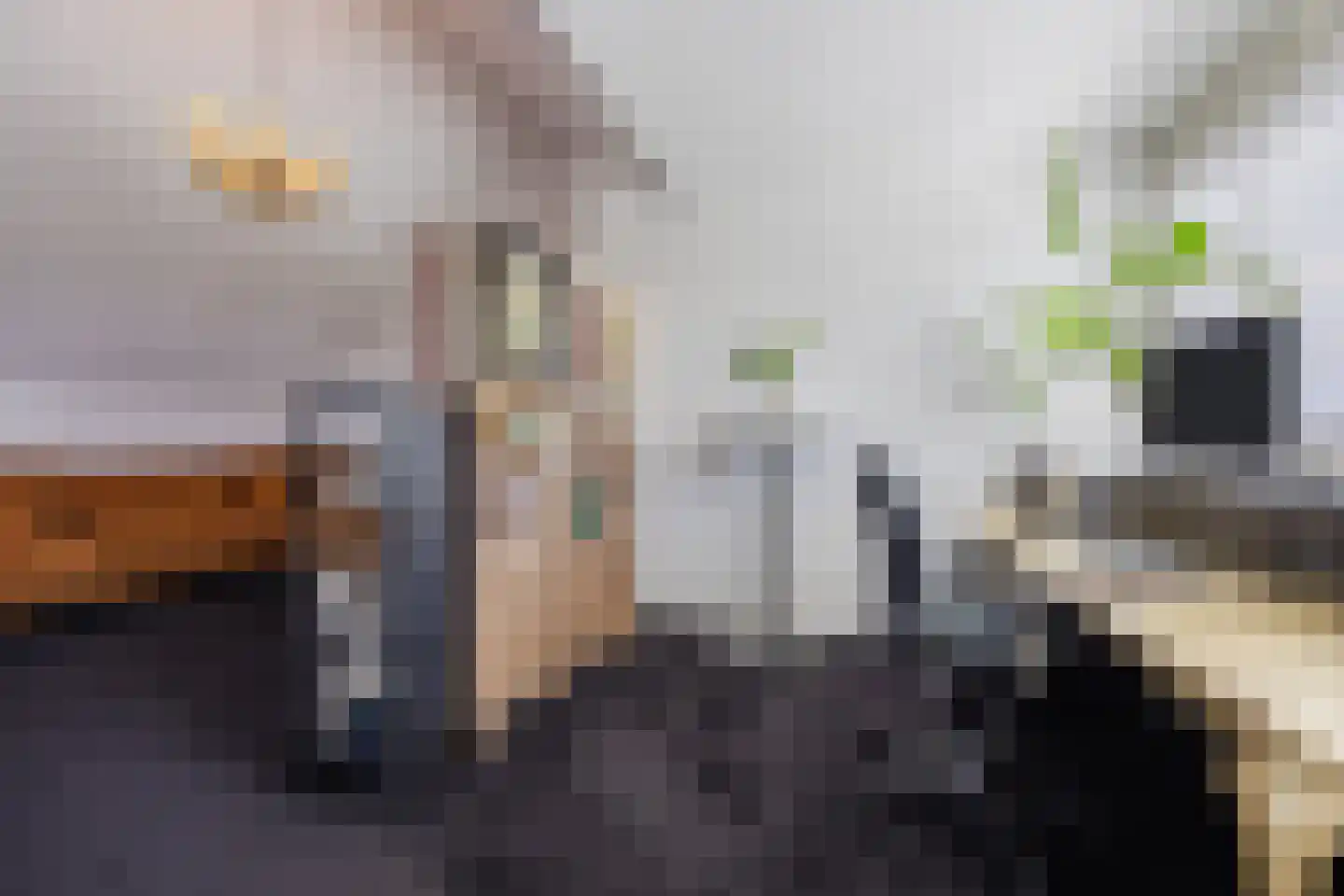 Brederolaan 32 's-Gravenzande thumbnail 43