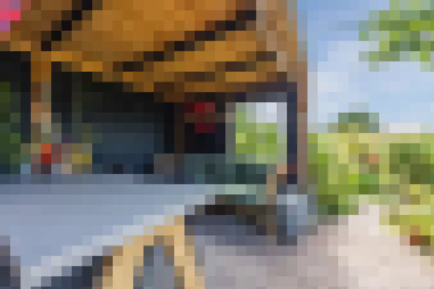 Brederolaan 32 's-Gravenzande thumbnail 61