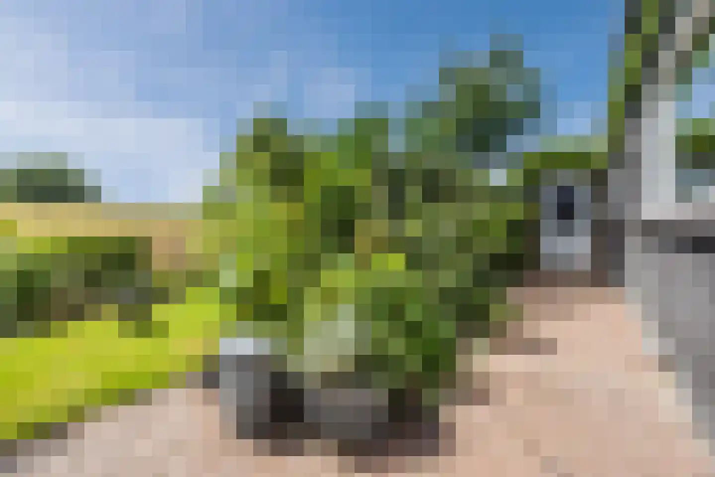 Brederolaan 32 's-Gravenzande thumbnail 66