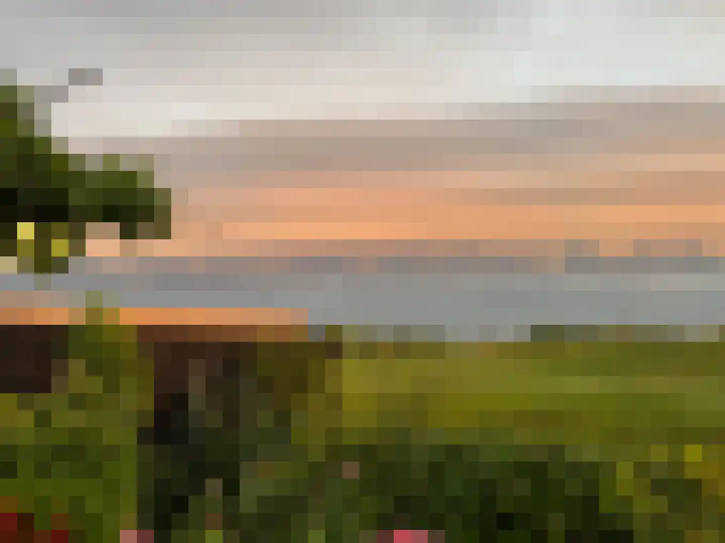 Brederolaan 32 's-Gravenzande thumbnail 72
