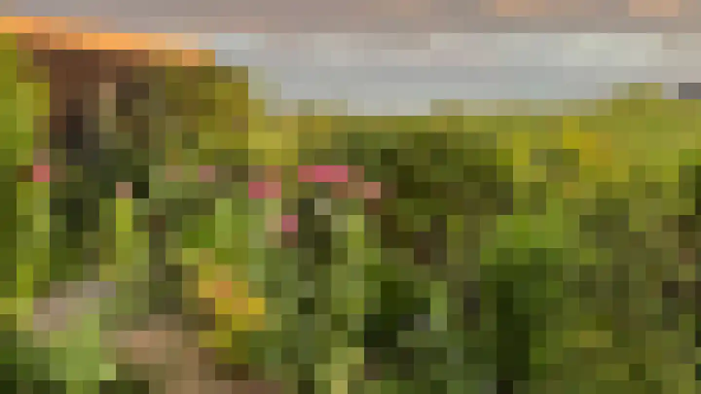 Brederolaan 32 's-Gravenzande thumbnail 73