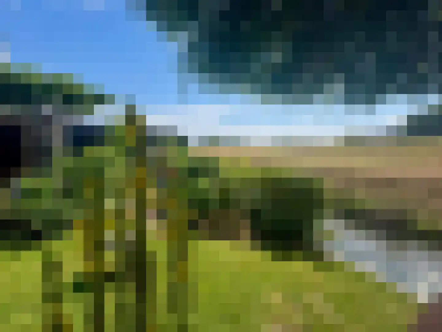 Brederolaan 32 's-Gravenzande thumbnail 81