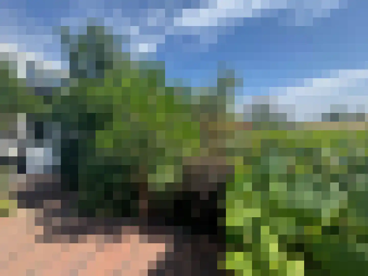 Brederolaan 32 's-Gravenzande thumbnail 82