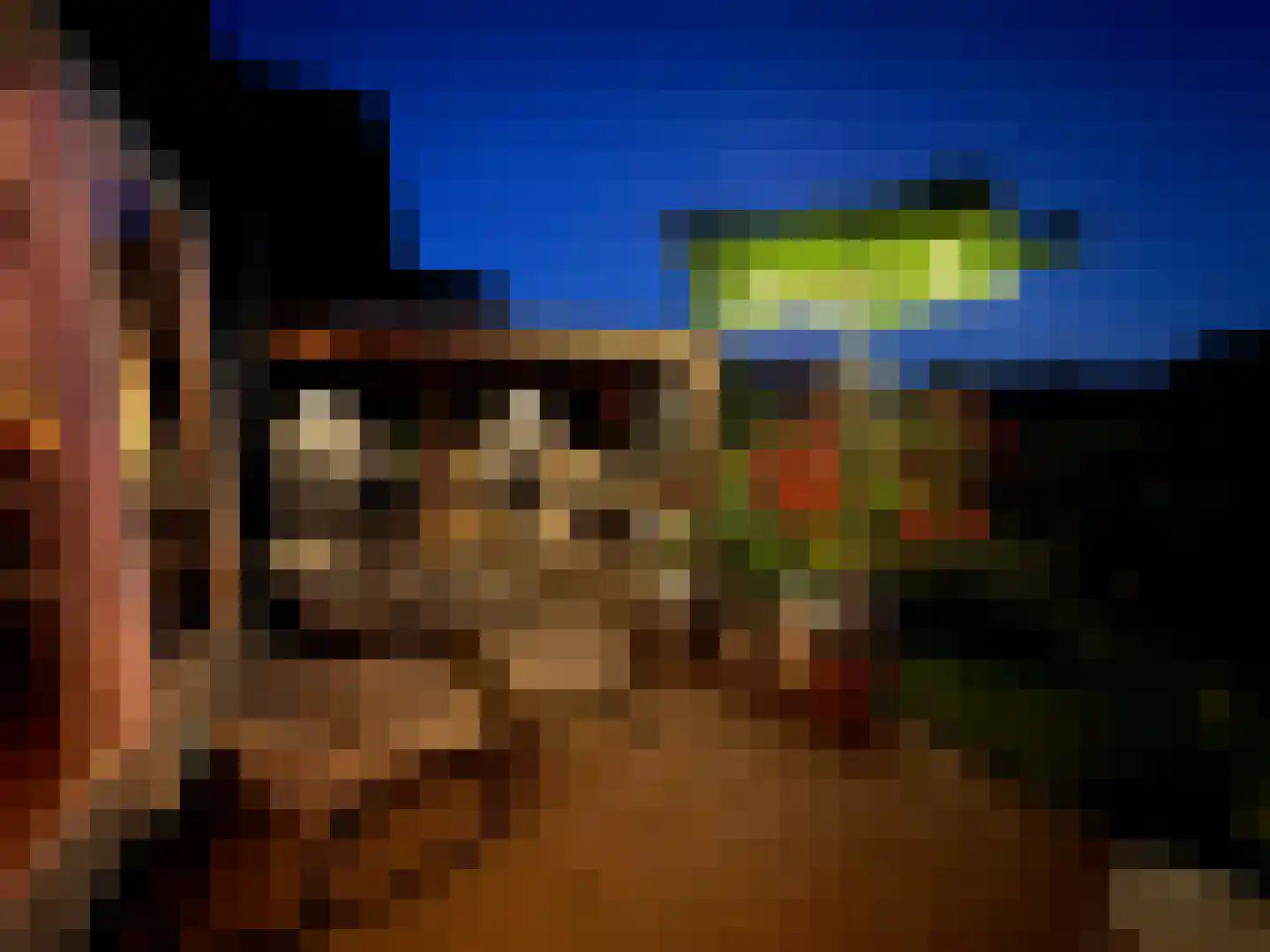 Brederolaan 32 's-Gravenzande thumbnail 86