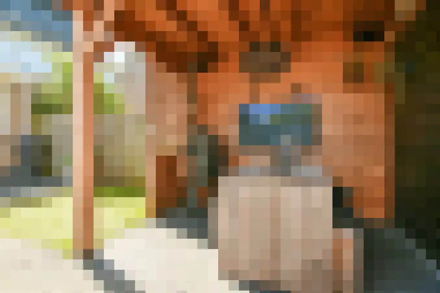 Brederolaan 34 Uithoorn thumbnail 23