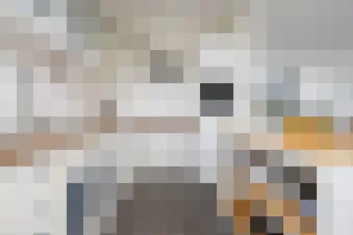Brederolaan 44 Etten-Leur thumbnail 12