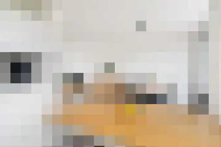 Brederolaan 44 Etten-Leur thumbnail 13