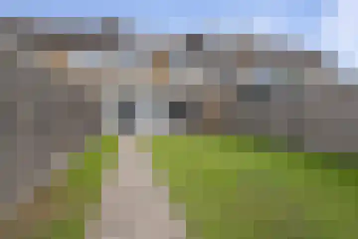 Brederolaan 44 Etten-Leur thumbnail 30