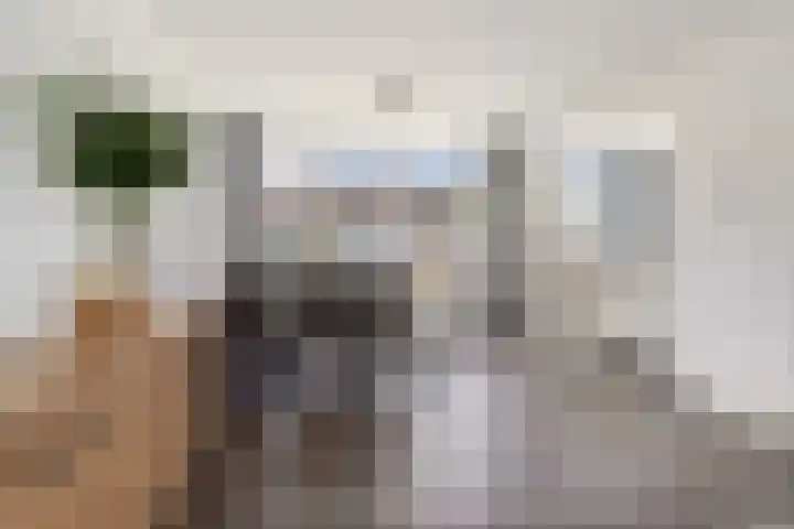 Brederolaan 44 Etten-Leur thumbnail 8