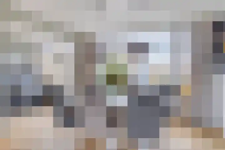 Brederolaan 80 Etten-Leur thumbnail 12