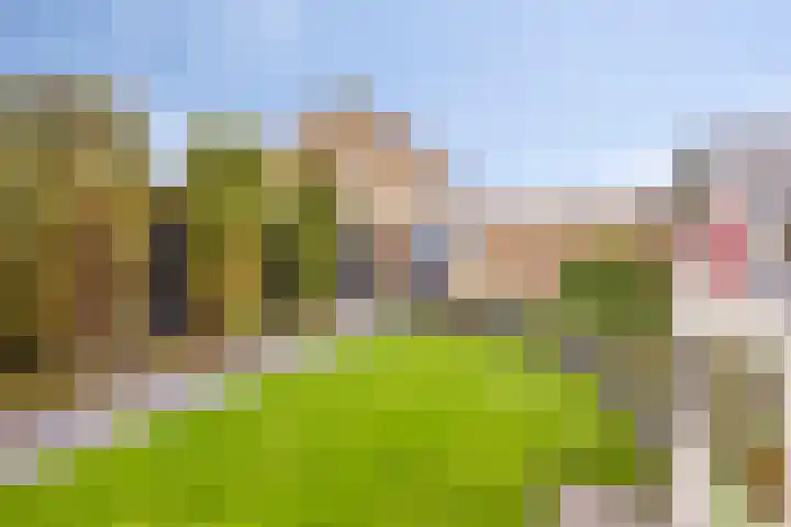 Brederolaan 80 Etten-Leur thumbnail 27