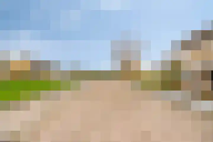 Brederolaan 80 Etten-Leur thumbnail 32