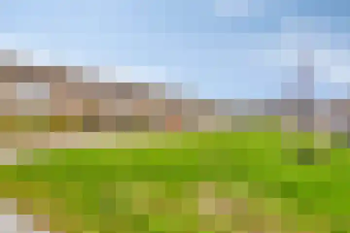 Brederolaan 80 Etten-Leur thumbnail 33
