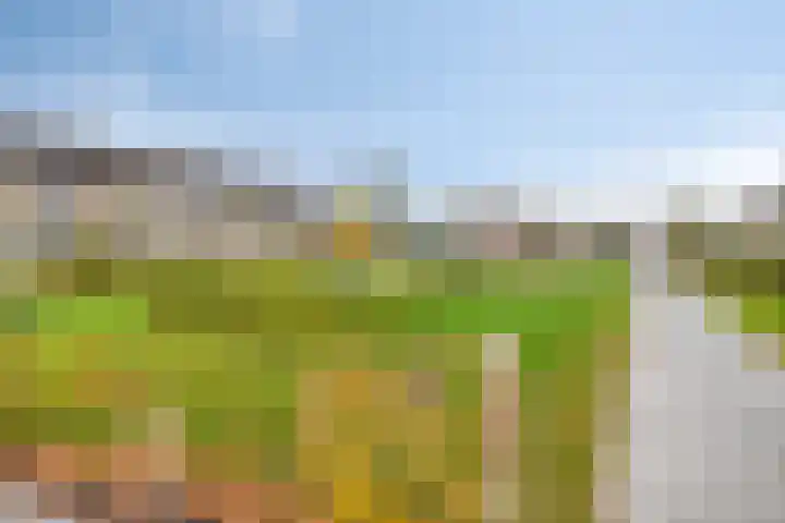 Brederolaan 80 Etten-Leur thumbnail 34