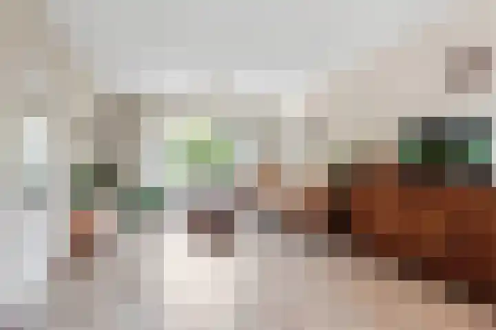 Brederolaan 9 Roelofarendsveen thumbnail 11