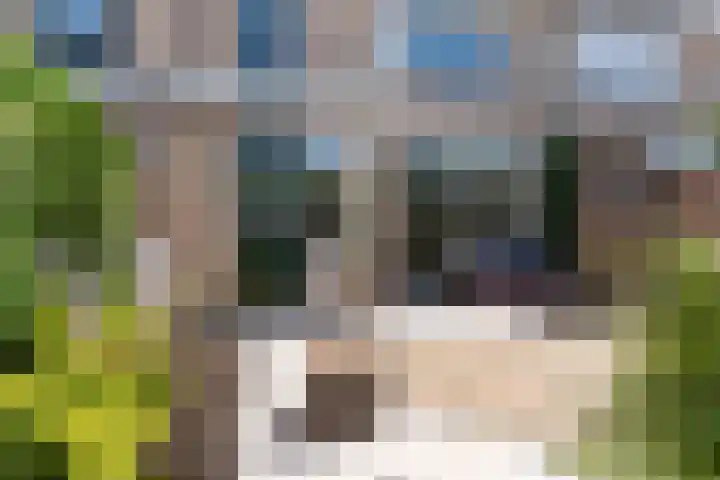 Brederolaan 9 Roelofarendsveen thumbnail 17