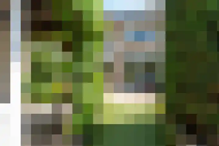 Brederolaan 9 Roelofarendsveen thumbnail 18