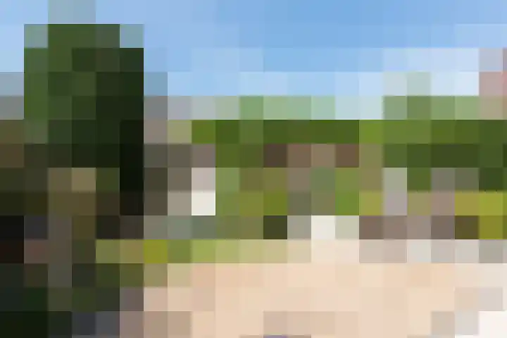 Brederolaan 9 Roelofarendsveen thumbnail 20