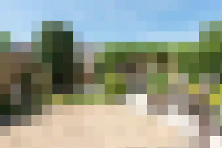 Brederolaan 9 Roelofarendsveen thumbnail 21