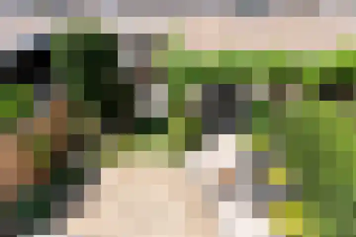Brederolaan 9 Roelofarendsveen thumbnail 22
