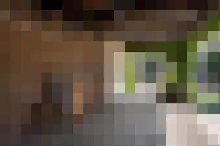 Brederolaan 9 Roelofarendsveen thumbnail 24