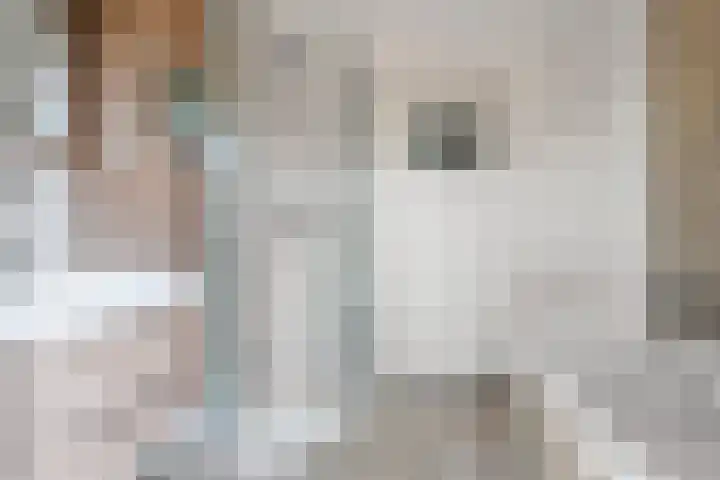 Brederolaan 9 Roelofarendsveen thumbnail 29