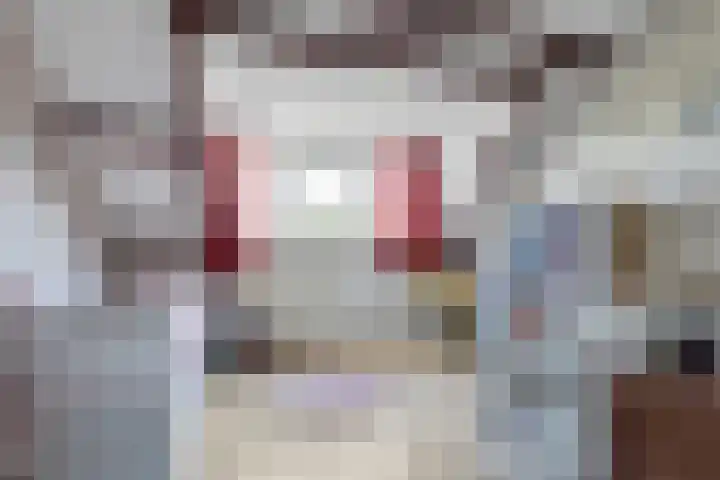 Brederolaan 9 Roelofarendsveen thumbnail 39
