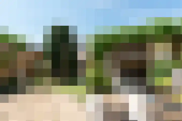 Brederolaan 9 Roelofarendsveen thumbnail 4