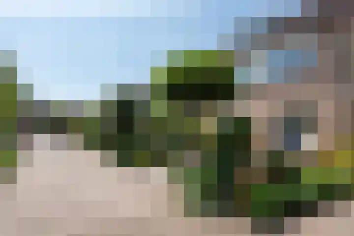 Brederolaan 9 Roelofarendsveen thumbnail 5