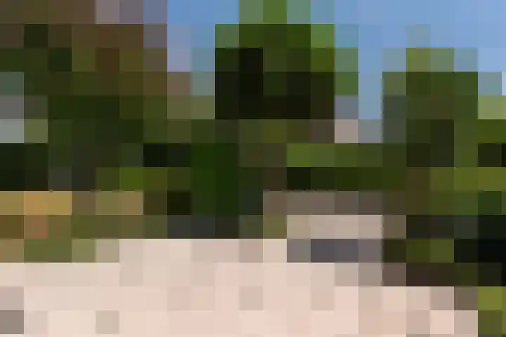 Brederolaan 9 Roelofarendsveen thumbnail 6