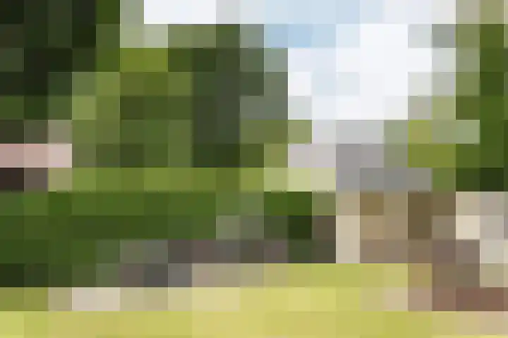 Brederoodseweg 35 Santpoort-Zuid thumbnail 15