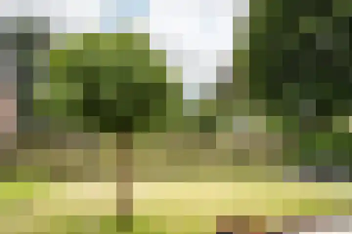 Brederoodseweg 35 Santpoort-Zuid thumbnail 16