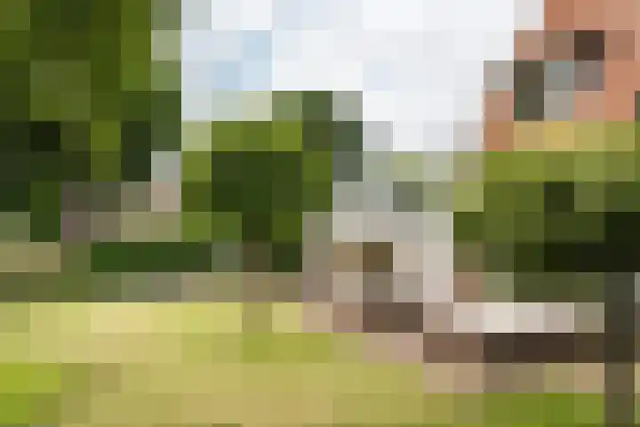 Brederoodseweg 35 Santpoort-Zuid thumbnail 17