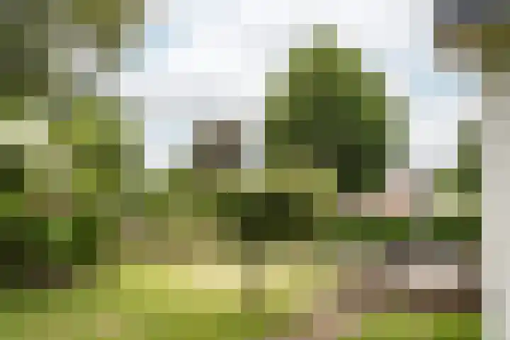 Brederoodseweg 35 Santpoort-Zuid thumbnail 18