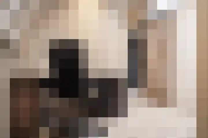 Brederoodseweg 35 Santpoort-Zuid thumbnail 29