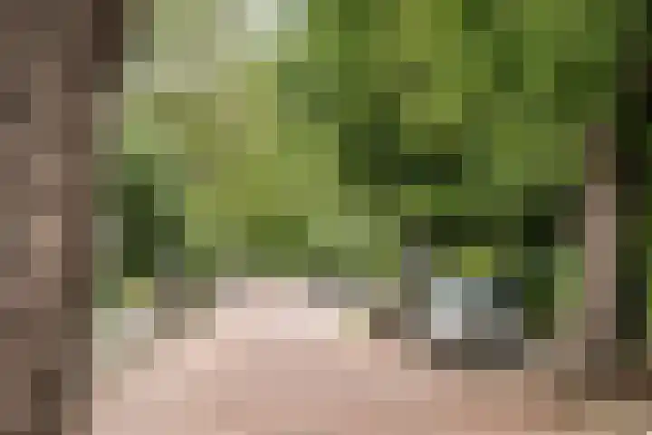 Brederoodseweg 35 Santpoort-Zuid thumbnail 32