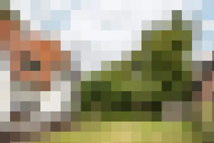 Brederoodseweg 35 Santpoort-Zuid thumbnail 33