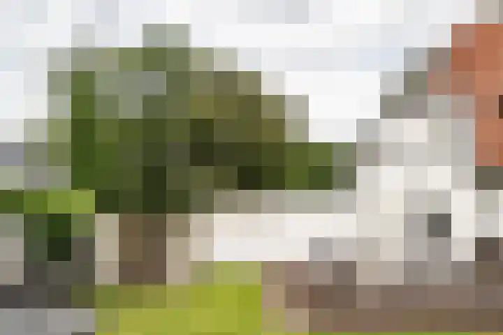 Brederoodseweg 35 Santpoort-Zuid thumbnail 34